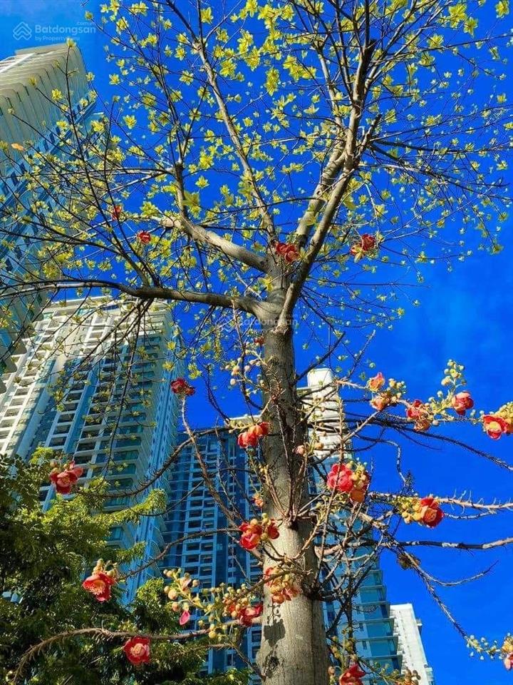Bán biệt thự đơn lập, gamuda gardens, hoàng mai, hà nội