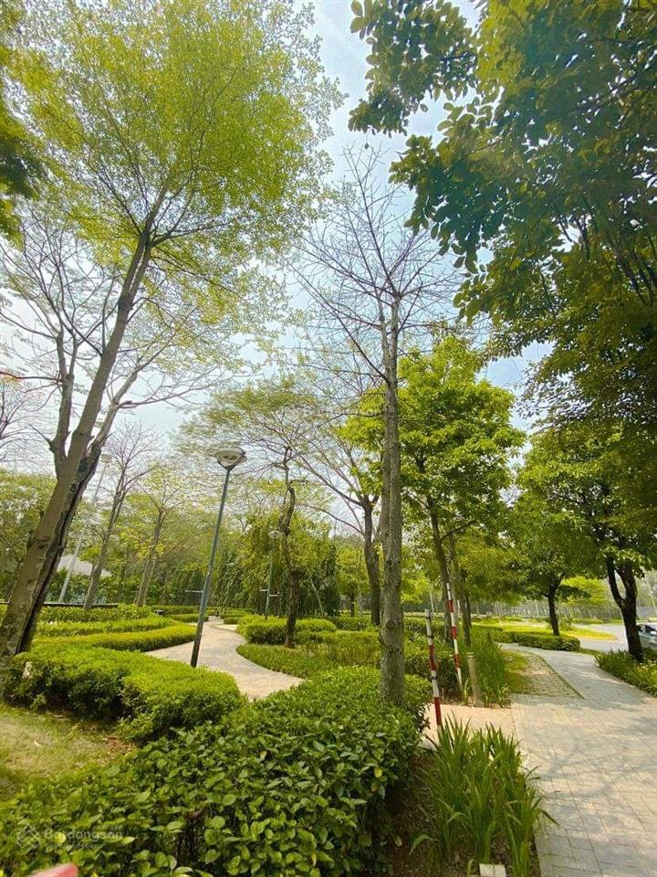 Bán biệt thự đơn lập, gamuda gardens, hoàng mai, hà nội