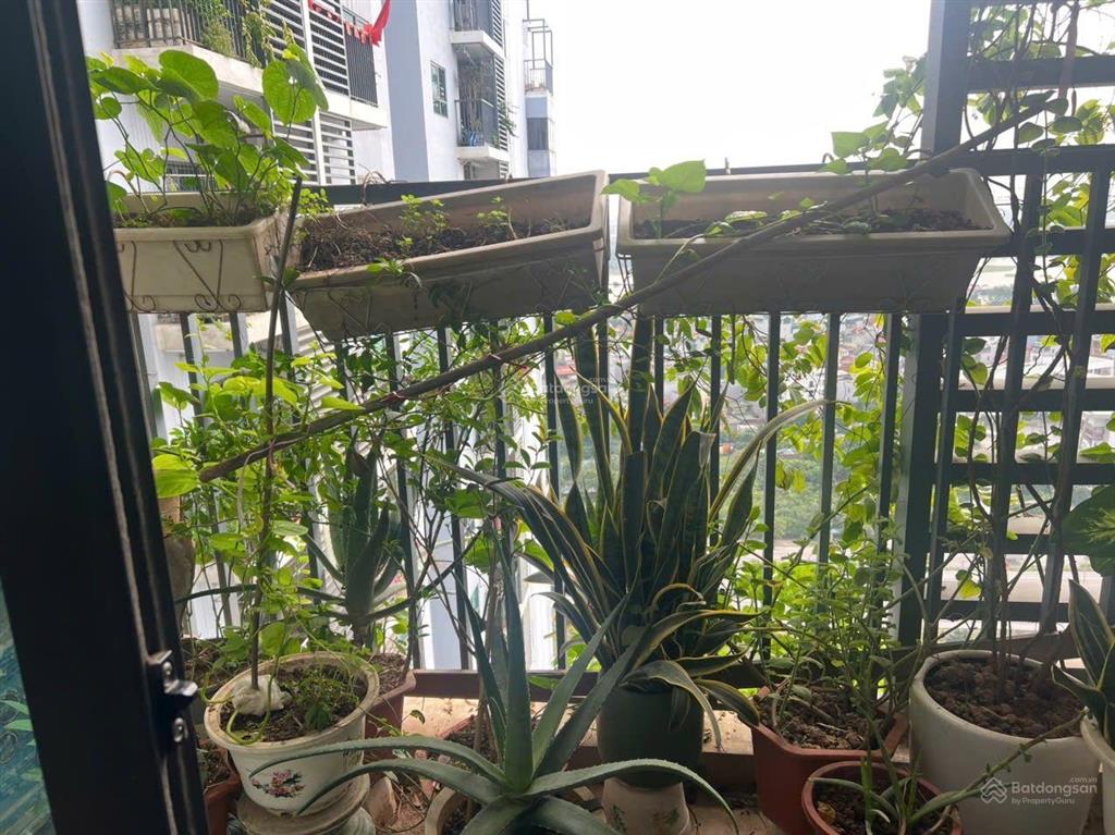 Bán căn hộ 2pn 2vs, tòa the two gamuda, hoàng mai, hà nội