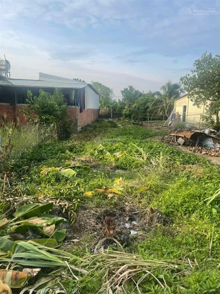 Cần bán gấp đất thổ cư xã phước hậu cần giuộc cũ