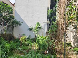 Bán đất đường quán chảy, đồng nhân, đồng la, hoài đức, phân lô, ô tô đỗ cửa, 52m2, 4.7 tỷ