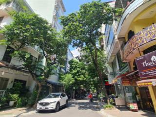 Hiếm! phân lô phố nguyên hồng, đống đa  ô tô chạy vòng quanh  16 tỷ