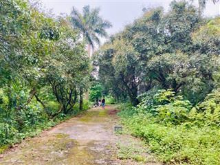 4,3ha có 1600m2 thổ cư còn lại là đất trồng cây lâu năm tại xã liên sơn, lương sơn, hòa bình