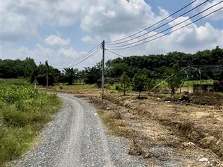 Mua đất tặng vườn trồng tràm gần thu hoạch hơn 1,8ha, đường ô tô có sẵn nhà, điện, nước