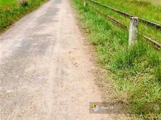 Đất vườn 1442m2 tại xã thanh phước, gò dầu, tây ninh. shr, sang tên công chứng ngay, giá 1 tỷ05