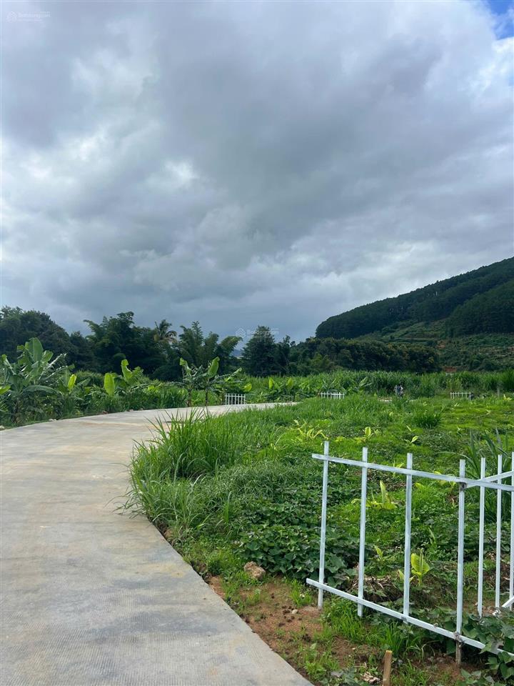 Bán lô đất 150m2, mê linh, 490 triệu, mặt tiền 8m, đường 5m