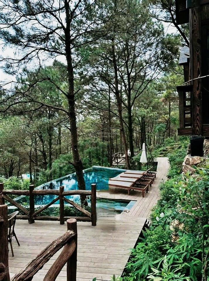 Bán đất tại minh phú, sóc sơn, hà nội, 19 tỷ, 76000 m2, chính chủ chỉ với