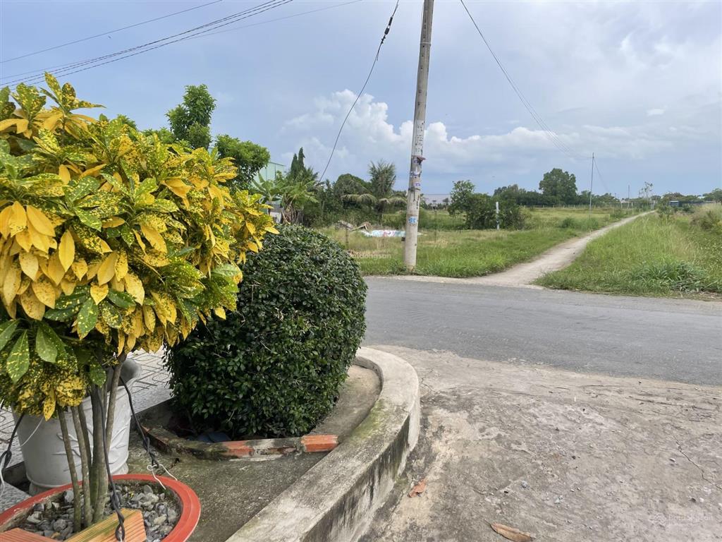 Bán 2010m2 đất trồng cây lâu năm tại xã qui đức, huyện bình chánh