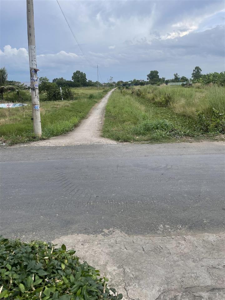 Bán 2010m2 đất trồng cây lâu năm tại xã qui đức, huyện bình chánh