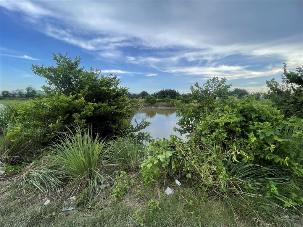 Bán 2010m2 đất trồng cây lâu năm tại xã qui đức, huyện bình chánh