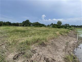 Bán 2010m2 đất trồng cây lâu năm tại xã qui đức, huyện bình chánh