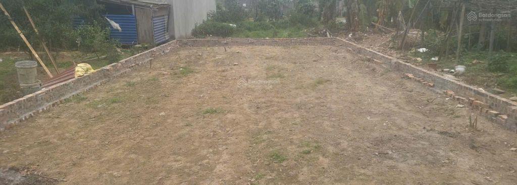 Bán đất đấu giá X8 Nguyên Khê