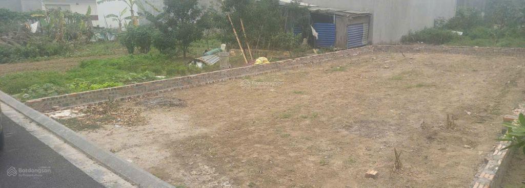 Bán đất đấu giá X8 Nguyên Khê