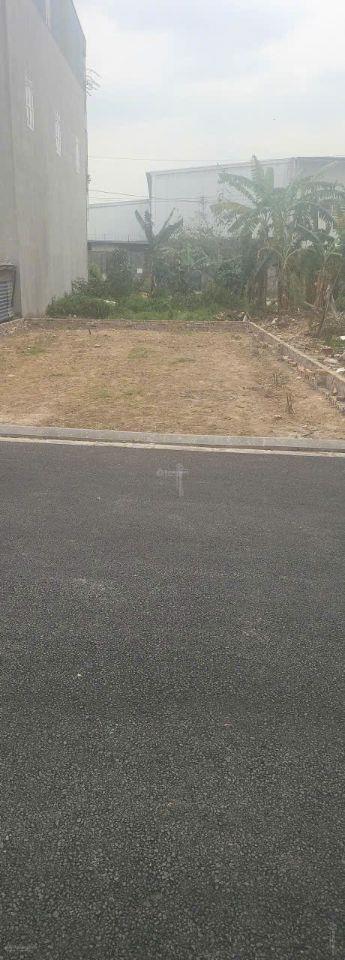 Bán đất đấu giá X8 Nguyên Khê