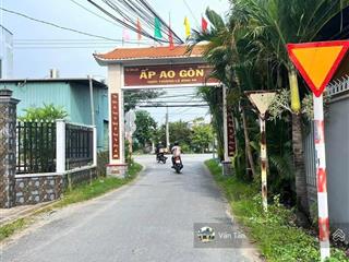 Bán đất tại ao gòn, tân lân, cần đước, cách ngã 3 tân lân 500m. 160m2, shr, mua bán nhanh