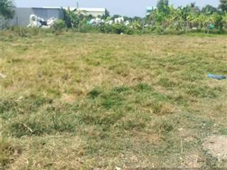 Bán đất sát bên chợ thủ thừa, long an, cách mặt tiền nhựa 50m. 180m2/535tr. shr, full thổ.