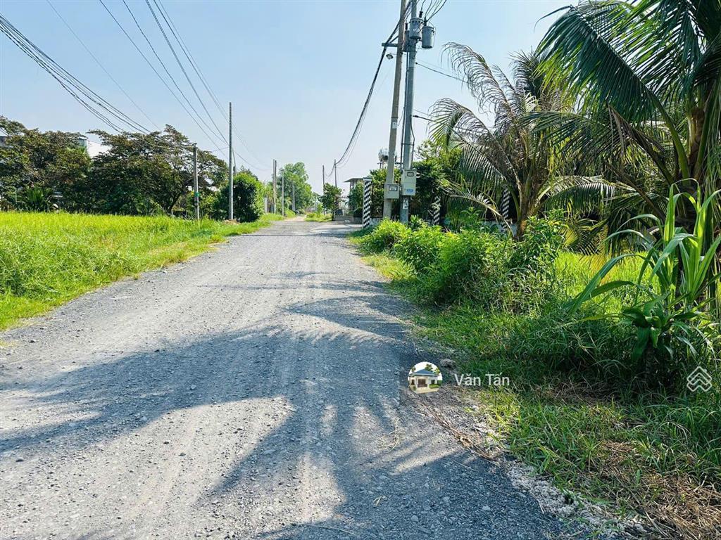 Lô đất mặt tiền đường nhựa ngay chợ gạo mới, tân thuận bình, tiền giang. 160m2/355tr. shr, full thổ