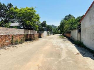 Bán đất lâm trường  minh phú  sóc sơn hà nội