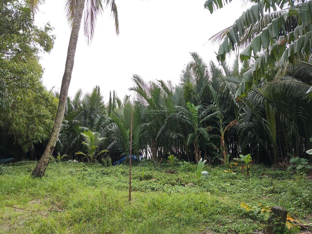 Bán nhà 2 tầng mới, dt 100m2, giá 3.x tỷ, đường ô tô thông, sát trần nhân tông, nhà 3 mặt thoáng.