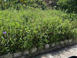 Bán đất 500m2 tại thị trấn xuân an, nghi xuân, hà tĩnh, giá cực chất 3,9 tỷ