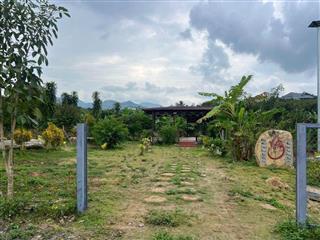 Bán đất đẹp view sân vườn sẵn cây ăn trái 310m2 tại Quốc Lộ 55, phường 3, Lâm Đồng, 799 triệu VND.