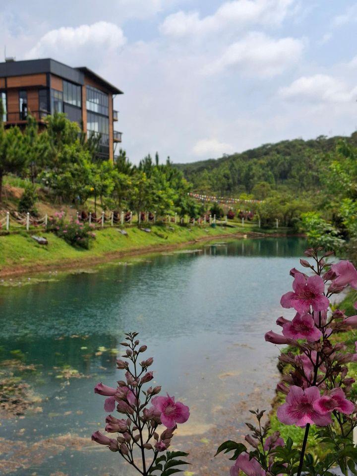 Bán trang trại, khu nghỉ dưỡng tại Khúc Thừa Dụ, 900 triệu, 150m2, hàng hiếm tại Bảo Lâm, Lâm Đồng