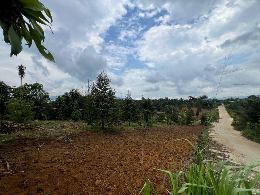 Bán đất nền dự án 310m2 tại Quốc Lộ 55, Xã Lộc Nam, Bảo Lâm, Lâm Đồng, giá cực chất 799 triệu