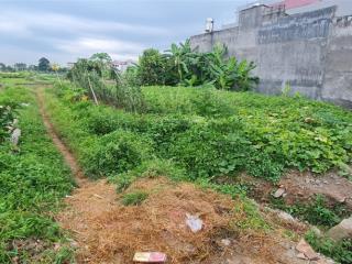Bán 2 lô đất đẹp thôn can hương gián, bắc giang (bắc ninh mới), 125m2/ lô