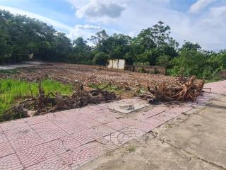 Bán lô đất 802m thôn núi 1, việt tiến viêt yên bắc giang ( bắc ninh mới ) 300m thổ cư, vị trí