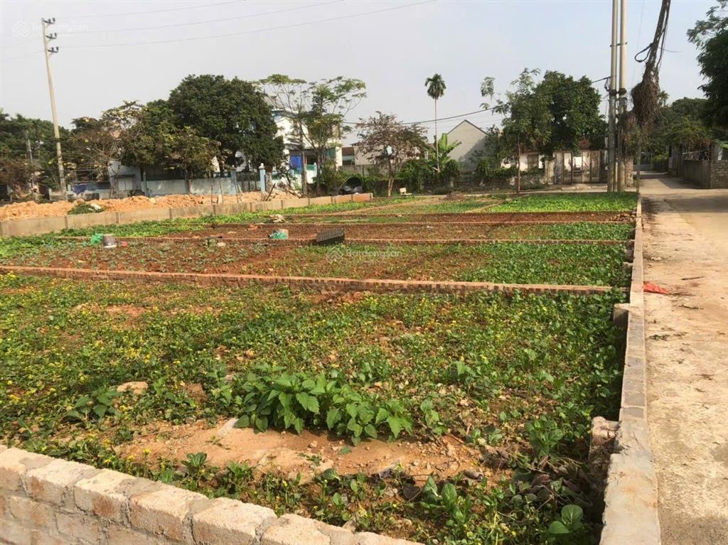 Bán đất vàng tại xuân mai chương mỹ hà nội. diện tích 88m2 giá chỉ 1.89 tỷ. lô góc, 3 thoáng