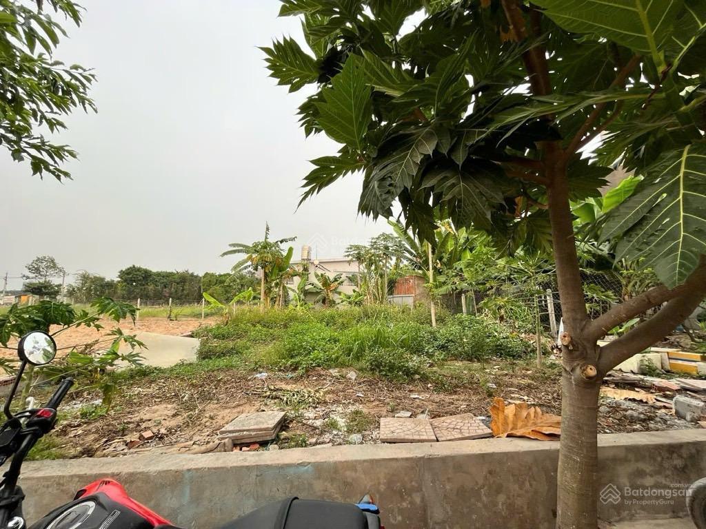 Bán đất đường thạnh lộc 19, phường thạnh lộc, q12, dt 233m²(9,4x25), giá 11,5tỷ.