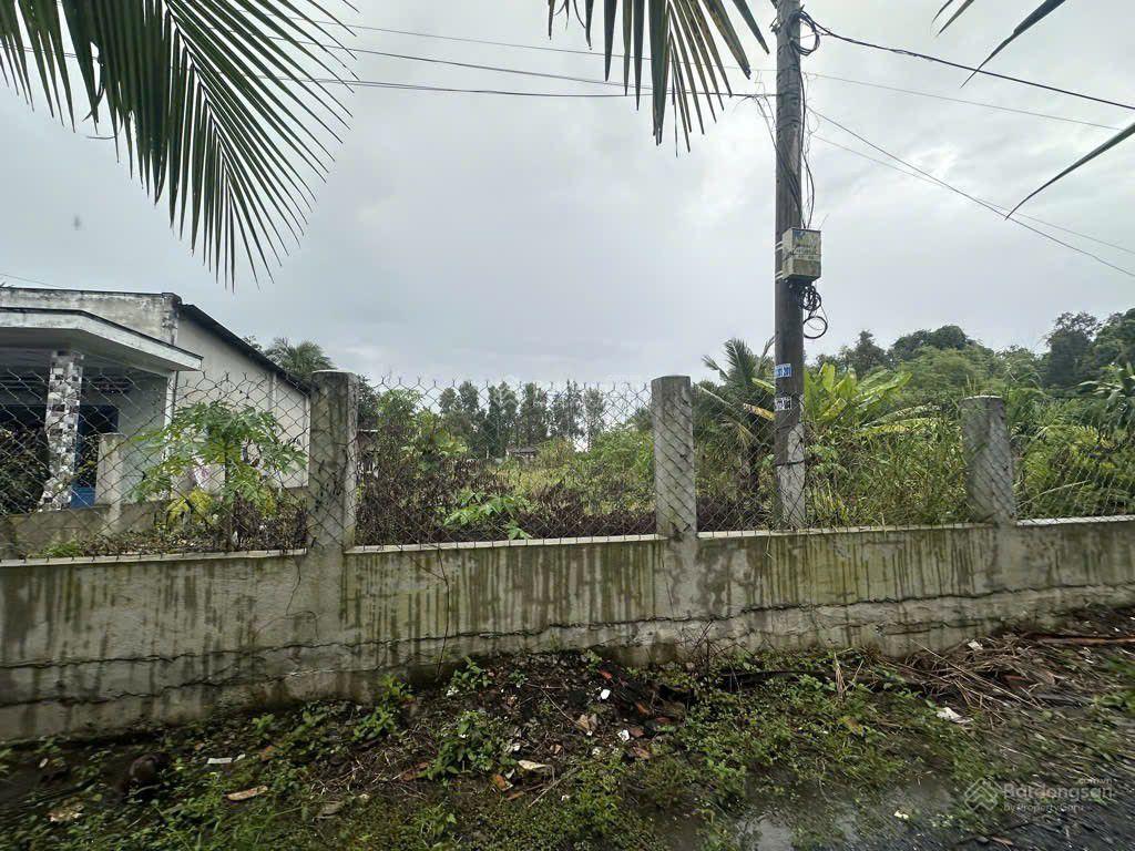 Bán đất 1,100m2 mặt tiền bờ sông đường nhị bình 15 xã nhị bình huyện hóc môn đường 7m