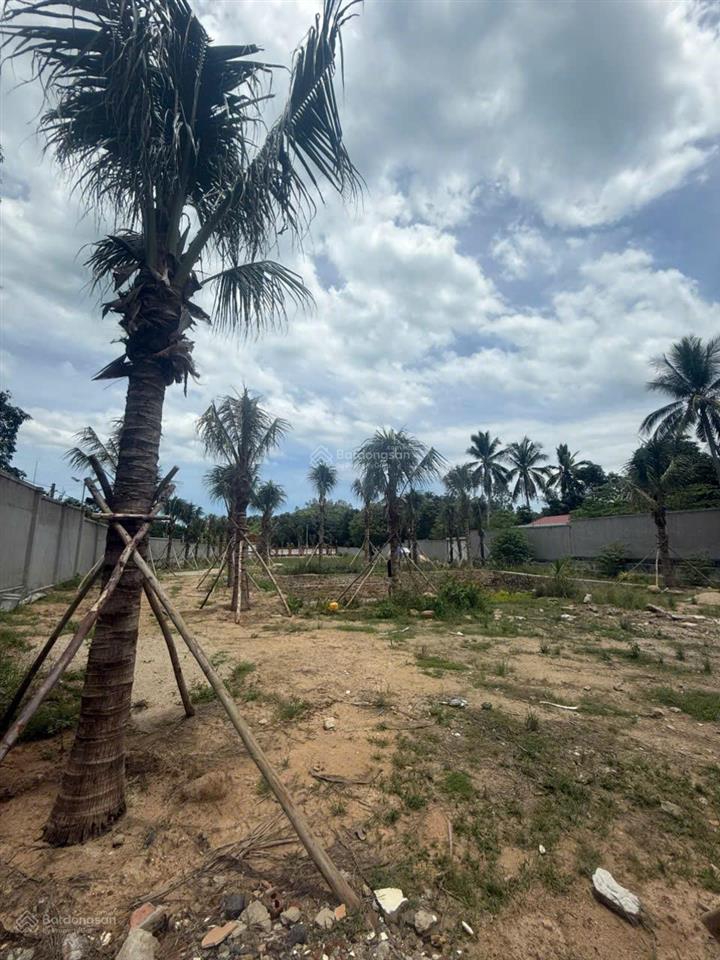 Cơ hội đầu tư đất bắc nha trang, cách biển 500m, vuông vắn, giá tốt chỉ 15,5tr/m2 full thổ cư