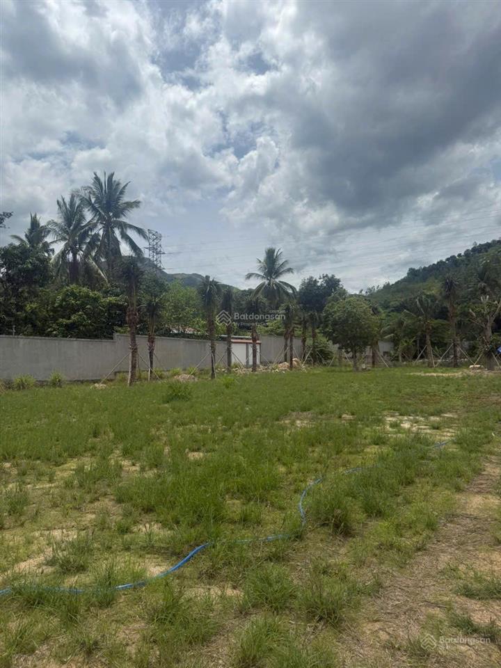 Cơ hội đầu tư đất bắc nha trang, cách biển 500m, vuông vắn, giá tốt chỉ 15,5tr/m2 full thổ cư