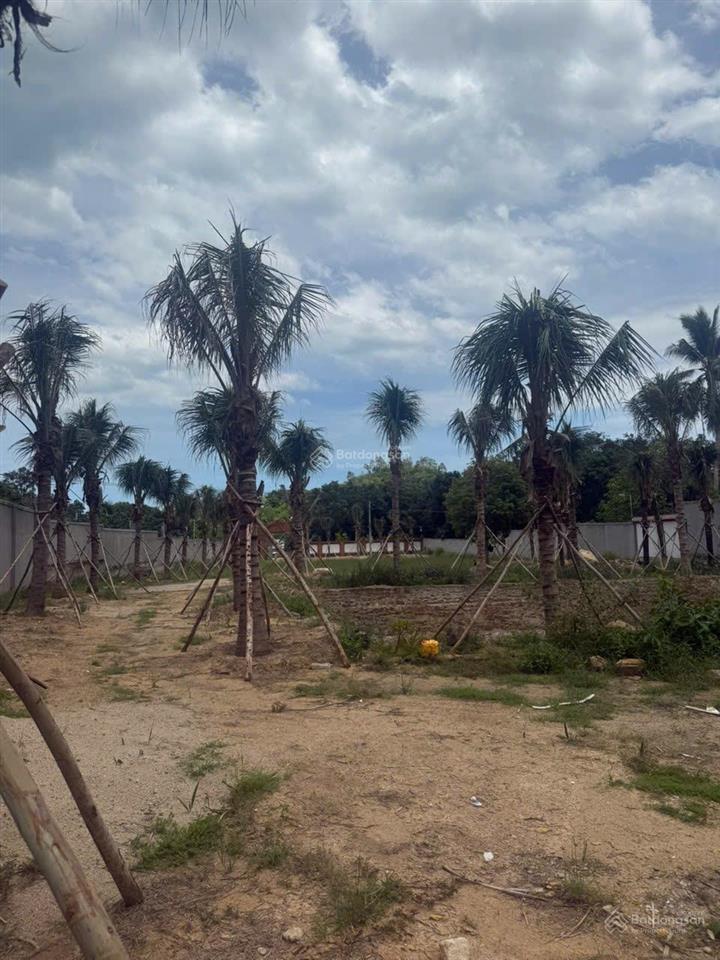 Cơ hội đầu tư đất bắc nha trang, cách biển 500m, vuông vắn, giá tốt chỉ 15,5tr/m2 full thổ cư