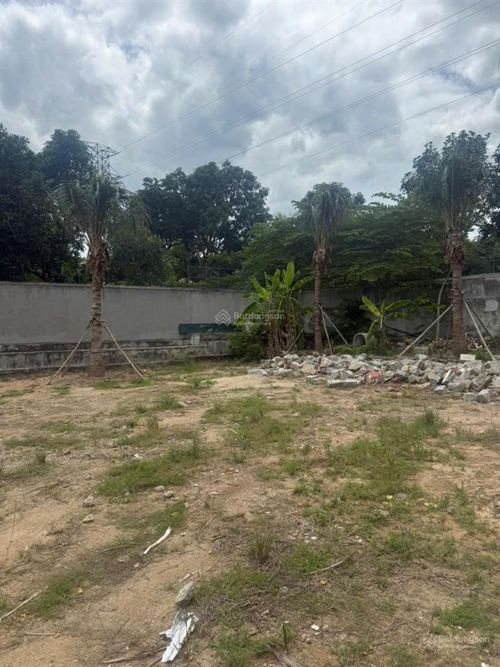 Cơ hội đầu tư đất bắc nha trang, cách biển 500m, vuông vắn, giá tốt chỉ 15,5tr/m2 full thổ cư