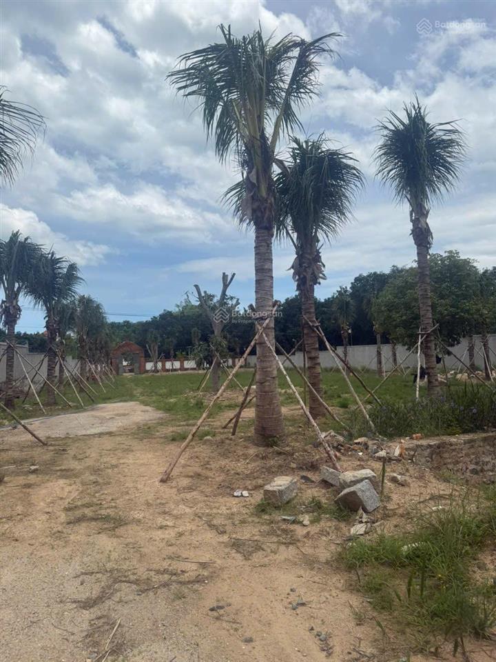 Cơ hội đầu tư đất bắc nha trang, cách biển 500m, vuông vắn, giá tốt chỉ 15,5tr/m2 full thổ cư