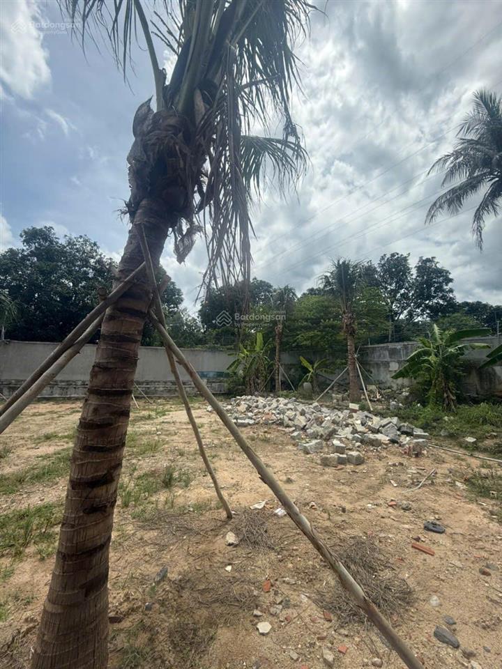 Cơ hội đầu tư đất bắc nha trang, cách biển 500m, vuông vắn, giá tốt chỉ 15,5tr/m2 full thổ cư