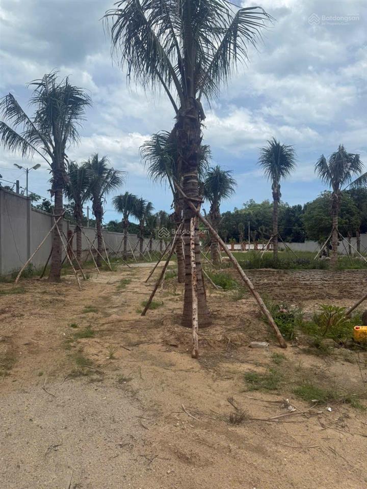 Cơ hội đầu tư đất bắc nha trang, cách biển 500m, vuông vắn, giá tốt chỉ 15,5tr/m2 full thổ cư