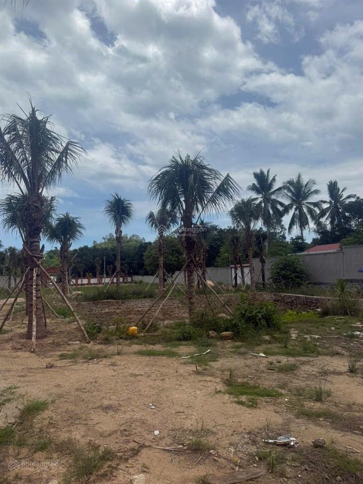 Cơ hội đầu tư đất bắc nha trang, cách biển 500m, vuông vắn, giá tốt chỉ 15,5tr/m2 full thổ cư