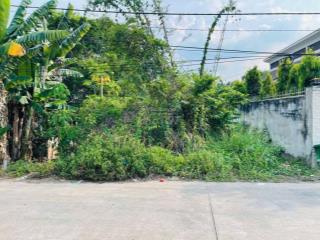 Cần ra nhanh lô đất full thổ ( 5 x 26 ) tân thông hội, củ chi giá 850 triệu, có sổ