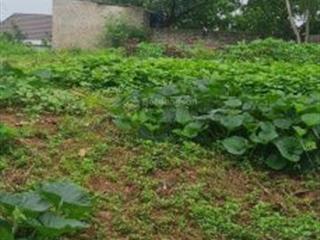 Bán đất trung tâm thị trấn kép lạng giang bắc giang. 638m2 mặt tiền 20m. giá 3,5 tỷ