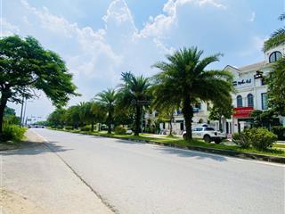 Bán đất phân lô việt hưng, phố đào đình luyện. dt 88m2, mt 5m, vỉa hè, kd, đối diện vinhomes