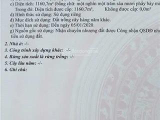 Đất long thành  xây trọ dòng tiền 60 triệu/ tháng giá chỉ 3.5 tỷ