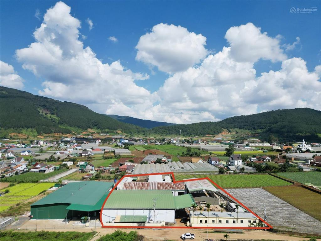Bán gấp lô đất 6000m2 trung tâm xã hiệp an huyện đức trọng
