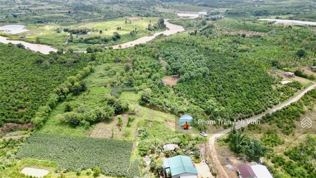Bán 1,8 ha huyện đức trọng view sông đồng nai rất đẹp