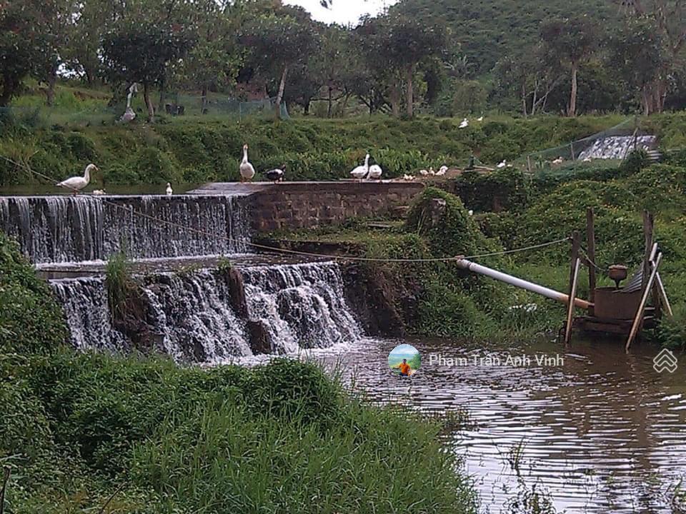 Bán trang trại nghỉ dưỡng bọc quanh suối rất đẹp  huyện đức trọng