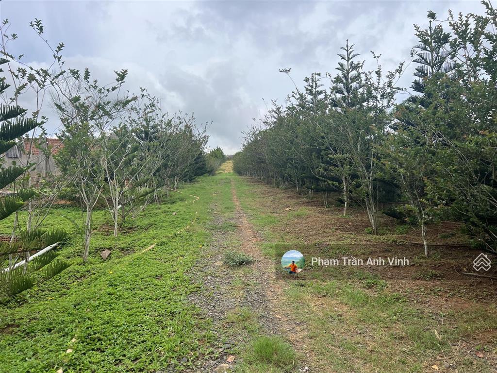 Bán trang trại nghỉ dưỡng bọc quanh suối rất đẹp  huyện đức trọng