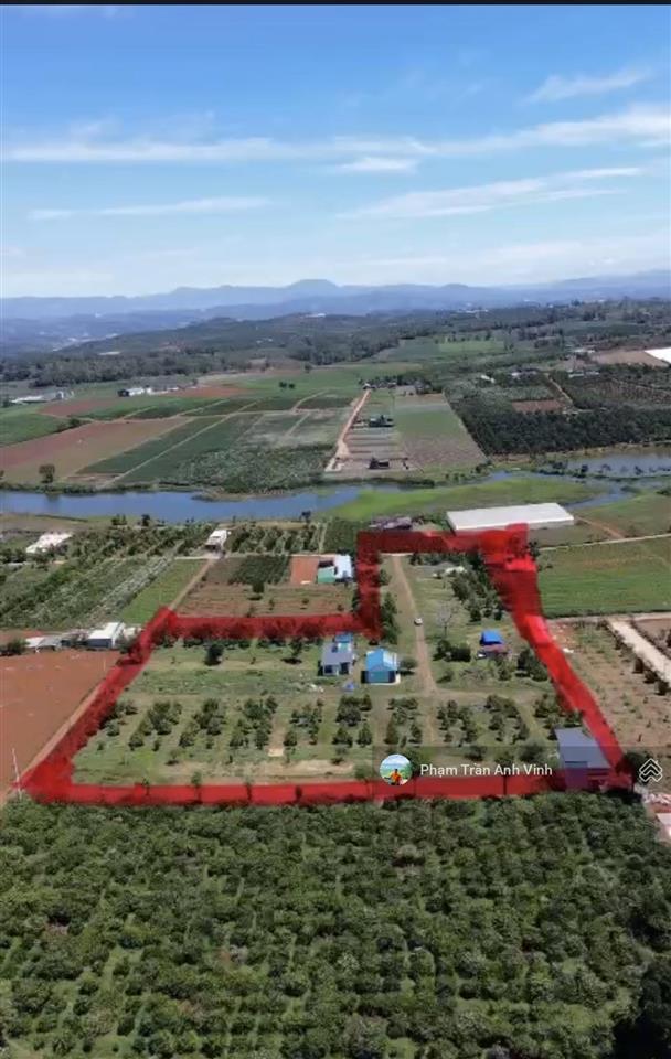 Bán 18.000m2 đất xã phúc thọ  huyện lâm hà view hồ giá ngộp