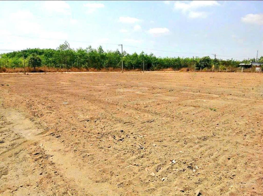 5000m2 đất giá rẻ thuộc đồng phú giáp kcn lớn, nơi mà nhiều nhà đầu tư đang quan tâm lúc nầy